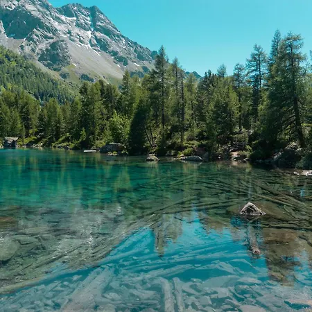 Charming 3½ In Valposchiavo Σπίτι διακοπών